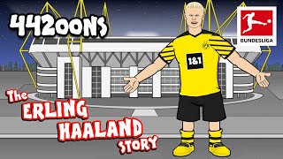 The Story of Erling HAALAND  Powered by 442oons [upl. by Infield]