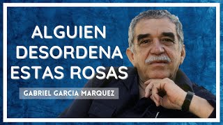 ALGUIEN DESORDENA ESTAS ROSAS GABRIEL GARCIA MARQUEZ AUDIOLIBRO [upl. by Onirefez]