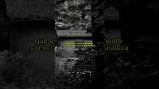 7 Rasgos de BRUJA 👁️paranormal brujas historiasdeterror leyendas [upl. by Alberta834]