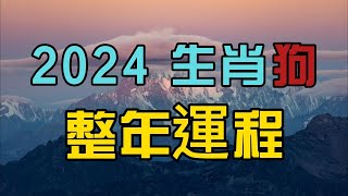 2024年生肖狗整體運程，狗年人要特別小心關注家人身體健康問題！ [upl. by Ardnod]