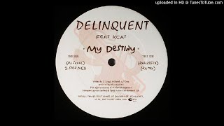 Delinquent feat Kcat  My Destiny Original Bassline  4x4  Niche [upl. by Aevin]