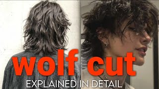 How to Get WOLF CUT explained in detail  हिन्दी  chadtag wolfcut hairstyle [upl. by Leirza]