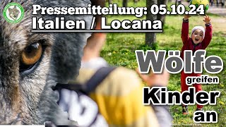 Wolfinfo Aktuell Pressemitteilung Italien Wölfe greifen Kinder an [upl. by Alaehcim135]