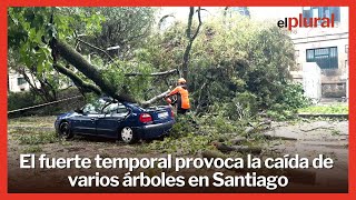 El fuerte temporal provoca la caída de varios árboles en Santiago de Compostela [upl. by Benedic548]