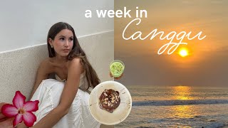 seven days in Bali  Canggu vlog with a CRAZY storytime [upl. by Wilscam907]