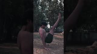 animal movement training shorts animalmoments kalarippayattu martialarts [upl. by Nnyledam]