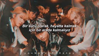 Stray Kids  WOLFGANG Kingdom Türkçe Çeviri✨ [upl. by Ho]