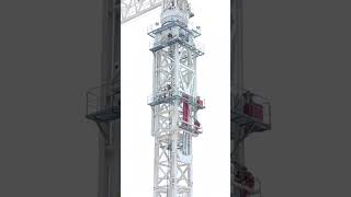 Tower crane reactiontowercranetowercraneoperator trendingreels viralshorts viralvideos [upl. by Igic]