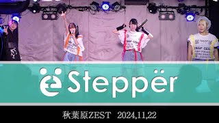 DEEPGEEK【Steppër】秋葉原ZEST 20241122halyosy [upl. by Nehgaem]