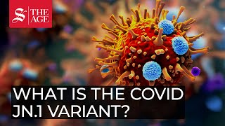 What is the COVID JN1 variant [upl. by Enaerb]