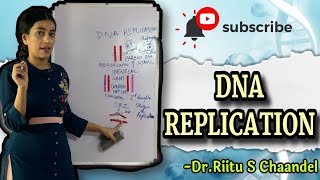 DNA Replication [upl. by Akemot]