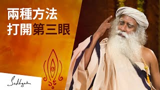 如何打開第三眼？ Sadhguru 薩古魯 [upl. by Acinorrev]