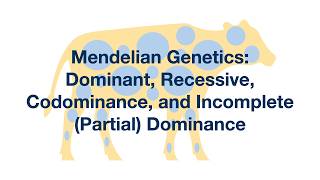 Mendelian Genetics Dominant Recessive Codominance and Incomplete Dominance Explained [upl. by Adelric416]