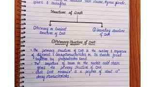 DNAPrimary structure of DNA [upl. by Yankee836]