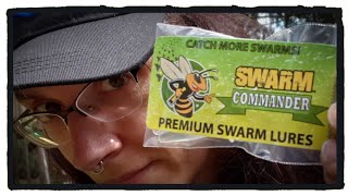 Swarm Commander Lure For Apimaye Hive Trap  SUBURBAN HOMESTEADING [upl. by Akimert]