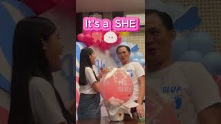 Bashta Baby Gender Reveal Balloon [upl. by Annav385]