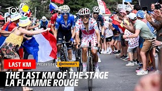 Last Km  Stage 20  Tour de France 2024 [upl. by Aicelef82]