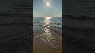 Lake Michigan near Pentwater MI  Early August 2024 [upl. by Nibla]