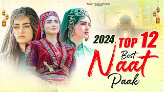 Naat Sharif  2024 Naat Sharif  New Naat Sharif  Beautiful Naat Sharif 2024  Heart Touching Naat [upl. by Ferreby]