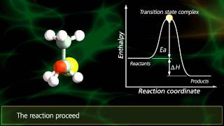 SN2 Reactions  University Of Surrey [upl. by Etnoek]