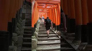 Fushimi Inari Shrine Walk Through in Kyoto shorts japan travel [upl. by Burleigh372]