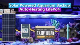 DIY Solar Powered Aquarium Backup  PowerQueen 100ah LiFePo4  Auto Heating [upl. by Airrehs43]