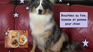 Recette bouchée au foie pomme et banane pour chien [upl. by Aihpledalihp]