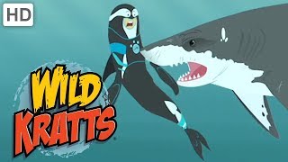 Wild Kratts 🦈🐊 Sharp Teeth  Kids Videos [upl. by Nesyla]