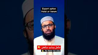 Expert option halal or haram [upl. by Ammeg]