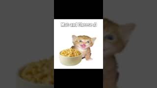 Silly Billy memes pt1 shorts memes meme funnyvideo funny [upl. by Akiem]