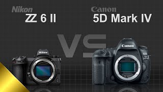 Nikon Z6 II vs Canon EOS 5D Mark IV [upl. by Darreg971]