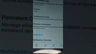 NSPanel Pro says notifications from Home Assistant using Pico TTS [upl. by Henghold658]