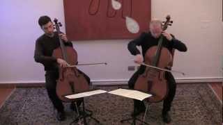 Duo Janigro  Popper op16  II Gavotte [upl. by Malina80]