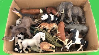 Lot of Zoo Wild AnimalsReal Safari Videos And Schleich ToysLearn Colors For Children [upl. by Osborn71]