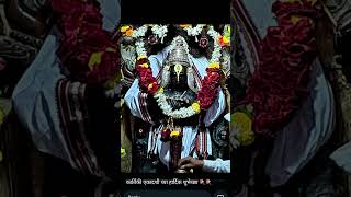 Vitthal Vitthal Vitthal Vitthal music motivation aaha gavade४९५९ 🙏🙏🙏💯💯🌺🌺🌺 [upl. by Epolenep754]