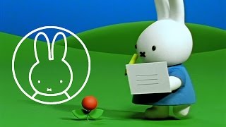 Miffy Gets A Postcard • Miffy amp Friends [upl. by Ewer889]