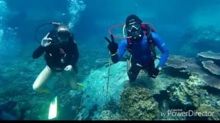 Scuba Diving In Tioman Island  Malaysia [upl. by Nirihs]