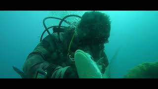 Spearfishing Ponce Inlet May 25th 2024 [upl. by Vershen]