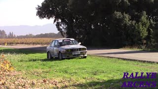 Rallye Terre de Vaucluse 2024  Day 2  Show amp Mistakes [upl. by Ellenad973]