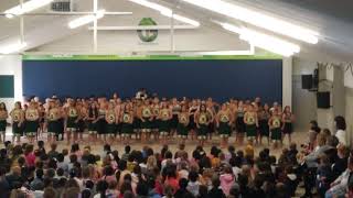 kapahaka day at Glenview school [upl. by Aicilif]