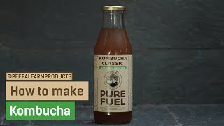 How to Make Kombucha  Kombucha Recipe  Healthy Probiotic Drink [upl. by Florinda]