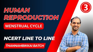 Menstrual Cycle Human Reproduction  Part 3  NCERT line to Line  TB 2024 [upl. by Nevile]