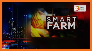 Smart Farm  Focus on vegetable farming in Kiambu County [upl. by Perdita529]