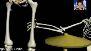 Skeleton Dance amp Bollywood Music  Funny Video [upl. by Ayenat]