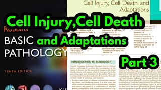 Cell DeathDifference between Apoptosis and NecrosisGeneral Pathology lectures Robbins Pathology [upl. by Alletse716]