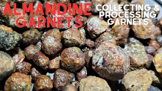 Gem Hunting Collecting amp Processing Almandine Garnets [upl. by Yud488]