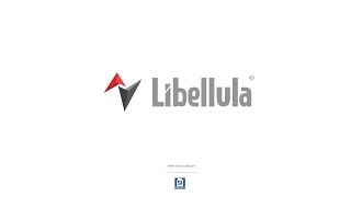 LEM  Libellula case study [upl. by Ardnuahsal]