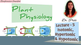 Plant Physiology I Lecture 5 Hypertonic Hypotonic amp Isotonic solutions I Bioinformatics Simplified [upl. by Anavoj]