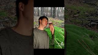 Grzyby w listopadzie🍄 family time brothers youtube mushroom autumn forest funny [upl. by Adnal795]