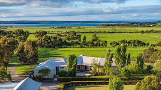 Lauriston Thoroughbred Farm [upl. by Verbenia]